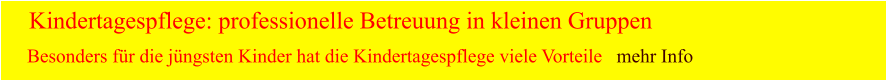 Kindertagespflege: professionelle Betreuung in kleinen Gruppen Besonders für die jüngsten Kinder hat die Kindertagespflege viele Vorteile   mehr Info