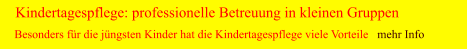 Kindertagespflege: professionelle Betreuung in kleinen Gruppen Besonders für die jüngsten Kinder hat die Kindertagespflege viele Vorteile   mehr Info